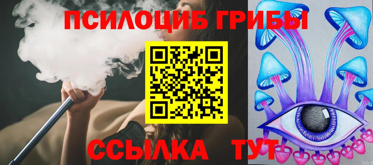 Галлюциногенные грибы прущие грибы  Псилоцибиновые грибы Psilocybine cubensis  Азов  Вход с VPN 